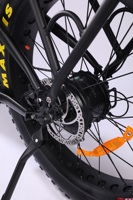 Vélo électrique à double moteur 750W vélo à moteur électrique gros pneu VTT électrique vélo de plage