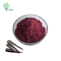 Natuurlijk Zwarte Wortelsap Poeder Zwarte Wortel Fruitextract