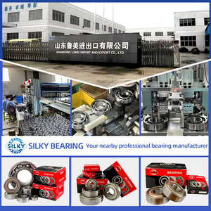 Fabricante de rodamientos 6300 6301 6302 6303 6304 6305 6002 <span class=keywords><strong>6003</strong></span> 6004 6005 6006 6007 2rs <span class=keywords><strong>2Z</strong></span> <span class=keywords><strong>Rodamiento</strong></span> rígido de bolas R3zz R4zz R5zz - Product Image 6