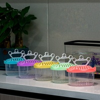 Vente en gros : Boîte en plastique pour hamster, petit aquarium, tortue, reptile, cage pour animaux de compagnie, boîte d'élevage, boîte de transport pour tortue