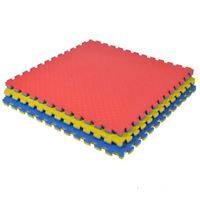 Tapis de Judo antidérapant moderne, paillasson de lutte, Tatami Wkf en Eva avec certificat de la CE, Karategi japonais Jodo, approuvé, 40mm, Mma, haute qualité