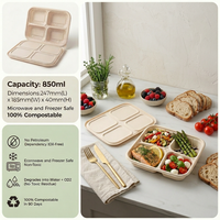 Boîte à lunch jetable biodégradable en amidon de maïs à 4 compartiments avec couvercle, capacité de 850 ml, emballage alimentaire à emporter