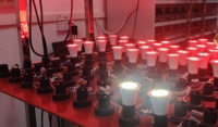 Ampoule LED pour volailles à haute efficacité lumineuse 125lm/w, ignifuge IP66