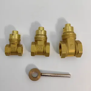 Water Meter Front Anti-theft Locking Gate Valve With Key Brass Magnetic Gate Valve
