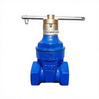 Vanne à opercule en fonte ductile avec verrouillage magnétique et joint souple fileté CZ15X-16Q NRS 2Cr13 SS Stem DN15-DN65 pour la protection des compteurs d'eau