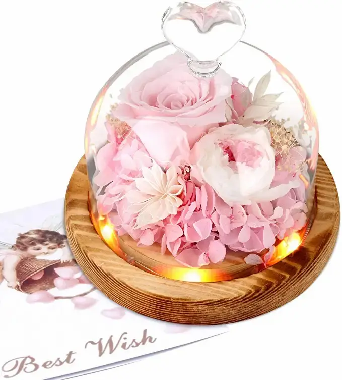 Kleine Display Case Dome Bewaard Licht Up Verse Bloemen Rose Gift Forever Pink Rose In Glazen Koepel Voor Moederdag kerst
