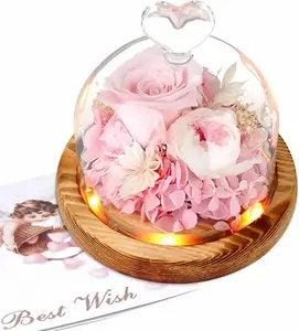 Small Display Case Dome Preserved Light Up Fresh Flowers Rose Gift Forever Pink Rose in Glass Dome for Mothers Day Christmas