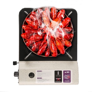 Cocina de Gas Portátil para Exteriores, de un Solo Quemador, con Protección de Presión, Operación Manual, Superficie de Aluminio, Encendido Electrónico, para Senderismo - Product Image 2