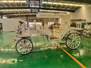 Carroza Eléctrica Vintage de 4-6 Plazas para Turismo, Venta al Por Mayor Directo de Fábrica en China - Product Image 5
