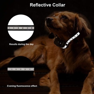 Collar de choque recargable para perros, productos de entrenamiento para mascotas, para corregir los malos hábitos, equipo de agilidad - Product Image 5