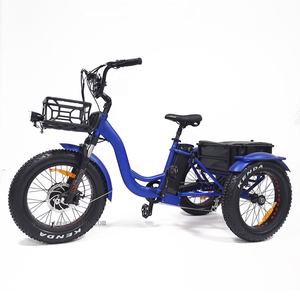 Vélo cargo électrique ebike vélo électrique à 3 roues tricycle électrique à gros pneus entraînement avant 750w/1000w vélo de livraison électrique Suron - Product Image 1