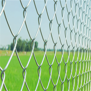 Clôture en treillis galvanisé pour stade, fabrication durable, 50x50x4mm, meilleur prix, clôture en treillis PVC à vendre - Product Image 4