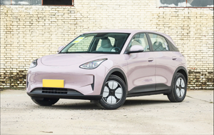 Venta Especial: Xingyuan 410km Versión Premium, Mini Auto Eléctrico de Alta Calidad a Bajo Precio, EV Hatchback (Sin Reseñas) - Product Image 3