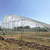 Serre agricole à double couche à ossature en acier galvanisé à chaud à faible coût, à simple portée, avec évents latéraux, petite taille, film plastique