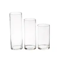 Simple Cylinder Tall Clear Flower Glass Vase