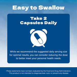 วิตามินเสริมสุขภาพ<span class=keywords><strong>ก</strong></span>ารเจริญพันธุ์สำหรับผู้ชาย แคปซูลวิตามินซี/อี/บี6/บี12 ความเข้มข้นสูง + <span class=keywords><strong>ก</strong></span>รดโฟลิ<span class=keywords><strong>ก</strong></span> บำรุงสุขภาพอสุจิ - Product Image 3