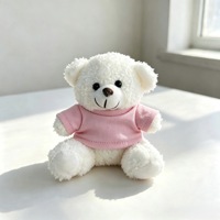 SongshanToys OEM Personnalisé Marron Gris Rose Blanc Pendentif Porte-clés Ours en Peluche Miniature 10 cm avec Logo et T-shirt Imprimé Coloré