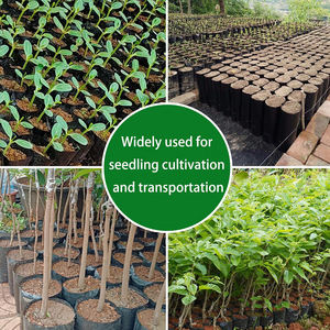 JiJiD Agrícola Negro Flor Siembra Vivero Empaquetado plantas bolsa <span class=keywords><strong>de</strong></span> cultivo Semillas <span class=keywords><strong>de</strong></span> plástico Starter bolsas <span class=keywords><strong>de</strong></span> cultivo para plantas - Product Image 3