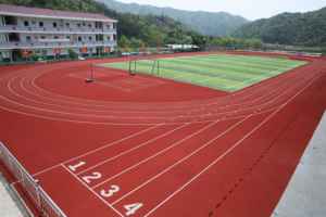 INOLP Pista de correr permeable al aire con textura 3D de alta tracción Superficie de grado profesional para Sprint y salto de longitud - Product Image 6