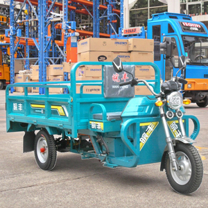 Commercio all'ingrosso WF1500DZH adulti Cargo 70 KM Open <span class=keywords><strong>3</strong></span> ruote moto motorizzato triciclo elettrico 400kg carico utile 1 passeggero - Product Image 2