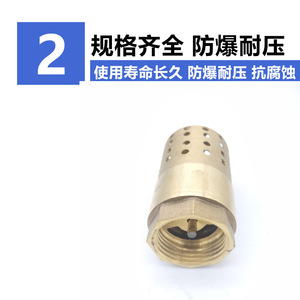 Vanne de retenue en laiton 1 pouce pour pompe à eau, vanne de fond avec filtre, vanne unidirectionnelle pour machine de pompage de puits - Product Image 1