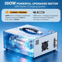 Compresseur d'air PCP TUXING CE en gros, arrêt automatique CC 12V/110V/220V, 4500psi 300bar 30MPA pour plongée sous-marine et paintball