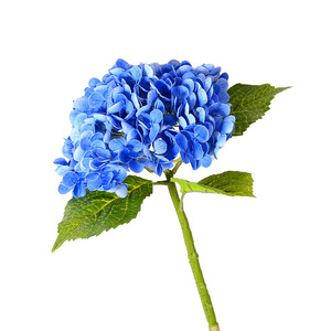 ดอกไฮเดรนเยียประดิษฐ์ฮานานาดา สีขาว สีเขียวอ่อน ให้ความรู้สึกเหมือนจริง เหมาะสำหรับตกแต่งงานแต่งงาน ตกแต่งบ้าน ของตกแต่งภายนอก เป็นมิตรกับสิ่งแวดล้อม - Product Image 5