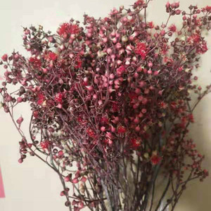 Petit Millet Fruit Fleurs Séchées Préservées Artisanat Maison Cadeau Composition Florale <span class=keywords><strong>Bouquet</strong></span> de Fleurs Fête des Mères Noël - Product Image 3