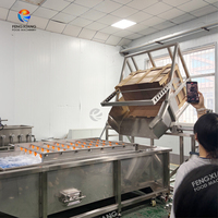 Industriële machine voor het lossen van fruit en groenten, aardappelen, wortelen, ananas, maïs; kratlosser en invoermachine