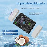 Filtro de Agua para Jarra PUREZA con Certificación NSF, de Larga Duración, Portátil, Manual, Reemplaza el Agua y la Hace Más Segura para Uso en Exteriores