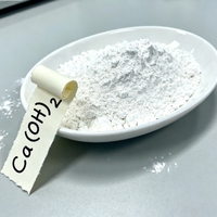 Ekspor Grosir Kapur Tawar Kalsium Hidroksida Ca(OH)2 dengan Kemurnian Rendah dan Harga Terjangkau
