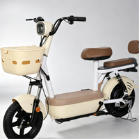 Vélo électrique léger à 2 places pour adultes, scooter électrique pour deux passagers, batterie 48V, vélo électrique pour les déplacements quotidiens