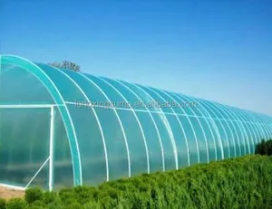 Filme de estufa agrícola de túnel alto de tamanho grande, preço de fábrica, para cultivo de tomate