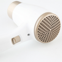 Sèche-cheveux d'hôtel de vente chaude avec prise de support de sèche-linge et protection directe contre la surchauffe d'usine Usb