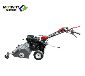 Chinês Low Cost Gasolina Weeder Power Tiller com Grass Cutter Ridger