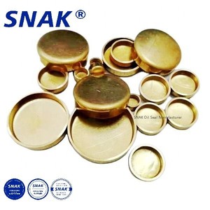 <span class=keywords><strong>Bouchon</strong></span> de <span class=keywords><strong>moteur</strong></span> personnalisé SNAK bouchons de gel 12mm <span class=keywords><strong>bouchon</strong></span> <span class=keywords><strong>jaune</strong></span> cuivre fer <span class=keywords><strong>voiture</strong></span> camion <span class=keywords><strong>moteur</strong></span> chemise d'eau <span class=keywords><strong>bouchon</strong></span> de gel - Product Image 2