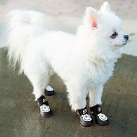 Nouvelles bottes de pluie classiques en PVC pour animaux de compagnie pour chiens et chats avec semelles souples imperméables et écologiques