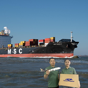 Miễn phí tìm nguồn cung ứng thâm quyến Chiết Giang Phúc Kiến Sơn Đông đáng tin cậy đại lý vận chuyển Cung cấp DDP ddu cửa đến cửa bởi seato USA Châu Âu - Product Image 6