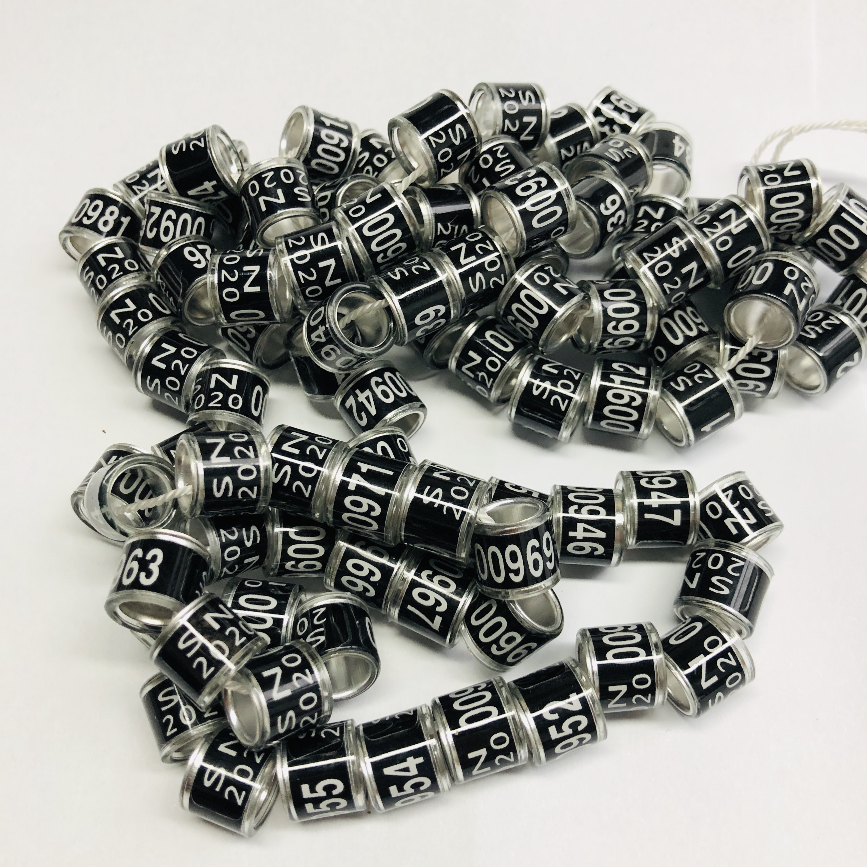 racing rings 2025 for pigeons