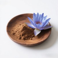Extrait de lotus bleu de qualité alimentaire chinoise, extrait d'herbes, poudre, 10:1 20:1, emballage en fût, vente chaude