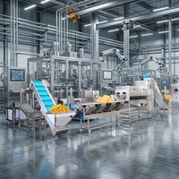 Commerciële productielijn voor frites, gasverwarmde friteuse, continue aardappelchipsfabriek, arbeidsbesparende automatische verpakking