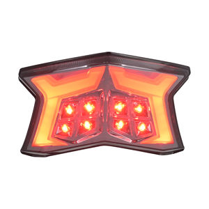 Heavy Motorcycle Led Brake <b>Tail</b> Lamp for KAWASAKI Z900 Supernaked 2020-2024 with turn signal smoke/clear lens - Product Image 1