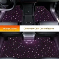 Tapis de sol lumineux pour voiture, lumière d'ambiance USB 5W, ciel étoilé, tapis de sol LED, intérieur, commande vocale UM099 OLIVER, compatible