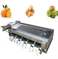Automatische elektronische sorteerapparatuur voor walnoten, kersen, citrusvruchten, kiwi's, hagedoornvruchten, avocado's, loquatjes, navelbessen, kumquats.