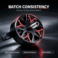 Moteur Brushless FPV à Consistance Stable pour Usine d'Assemblage de Drones 1350KV 1750KV 4S 6S Moteur de Drone de Production en Série pour Drones de 5 Pouces