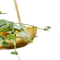 Porte-jardinière suspendu en cuivre au design moderne Pots de fleurs Décoration de balcon Pots écologiques Bols pour la plantation