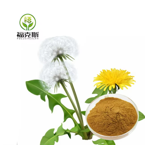 Giá tốt nhất bồ công anh flavonoid 5% 10% Hữu Cơ bổ sung bồ công anh chiết xuất từ rễ - Product Image 3