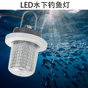 Lampe de pêche sous-marine à LED, 123 ampoules LED, 12V 24V DC, lumière bleue pour la pêche en mer, utilisation sur bateau, acier inoxydable IP68 - Product Image 3