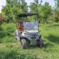Voiturette de golf électrique surélevée 4 places, Voiturette de golf électrique multimédia 6 places, Vente en gros directe usine