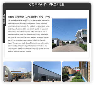 Disco de Láminas Abrasivas Rolit, Disco de Láminas de Óxido para Pulir, Grano 36 - 40, 115 x 22 mm, A80 125, Disco de Pulir para Madera - Product Image 5